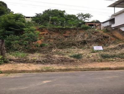 Terreno Urbano para Venda, em Muriaé, bairro Vale do Castelo